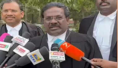 அன்புமணிக்கே மாம்பழம் சின்னம்- வழக்கறிஞர் பாலு