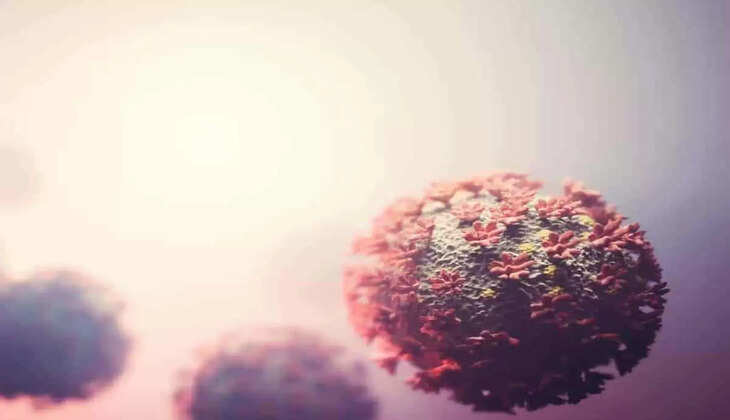 புளோரோனா