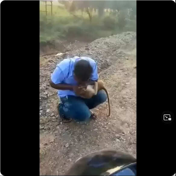 பிரபு குரங்கிற்கு உதவியவர்