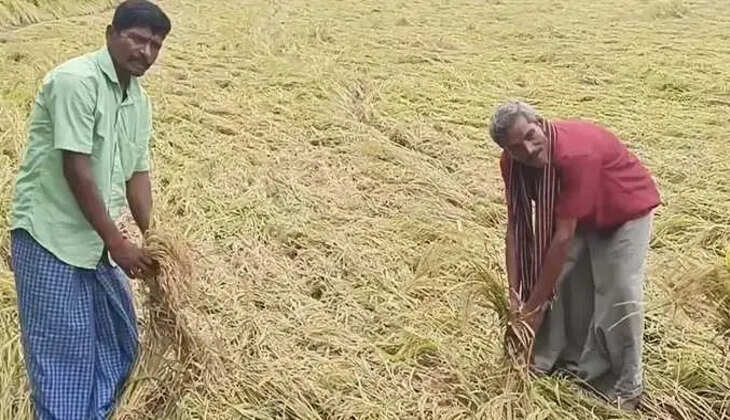 ச்