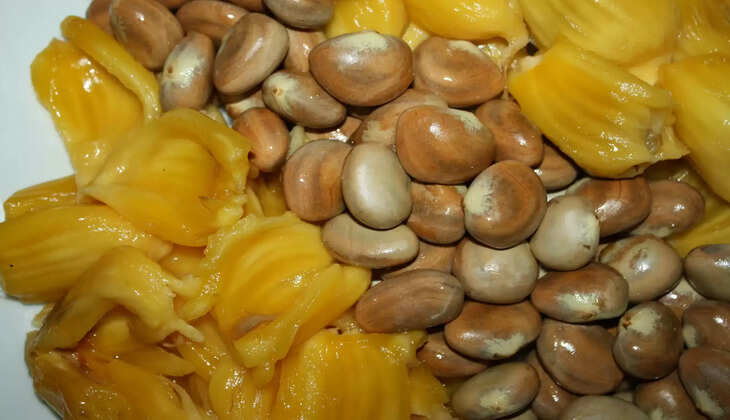 jack fruit