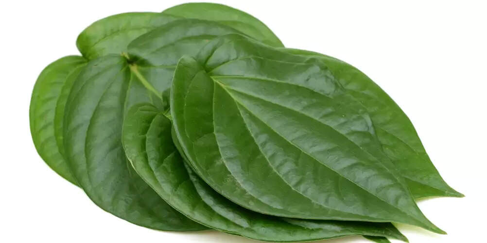 Betel - வெற்றிலை