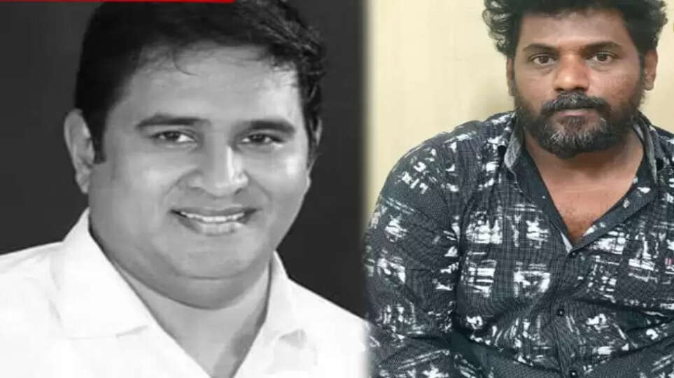 மாட்டு ராஜா