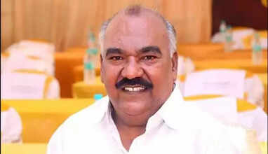 minister senji masthan tn assembly