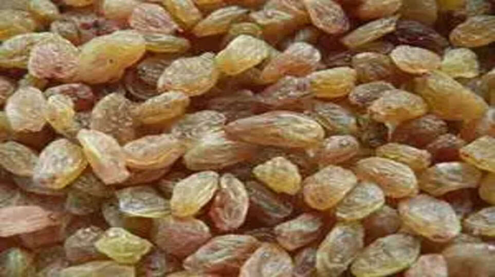 dry grapes