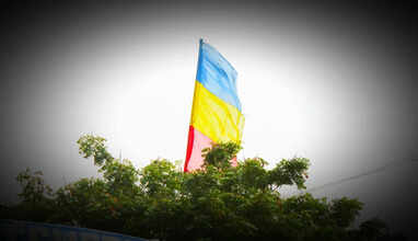 பாமக கொடி