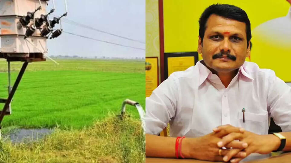 செந்தில்பாலாஜி