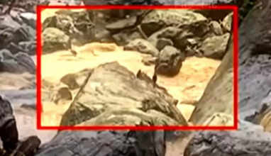 நிலச்சரிவில் சிக்கிய 3 பேர் உயிருடன் இருப்பது கண்டுபிடிப்பு