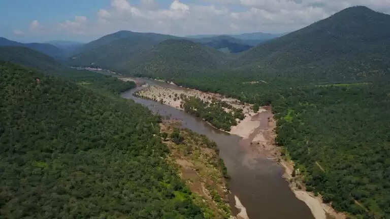 ஒசூர் காப்புக்காடுகளை தூர்வார ரூ. 1 கோடி நிதி ஒதுக்கீடு - தமிழக அரசு அரசாணை..