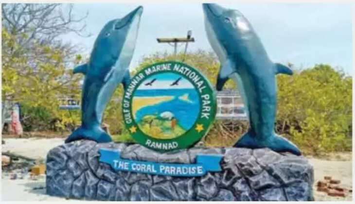 மன்னார் வளைகுடா சுழல் சுற்றுலா திட்டத்திற்கு ரூ. 15 கோடி ஒதுக்கீடு..&nbsp;