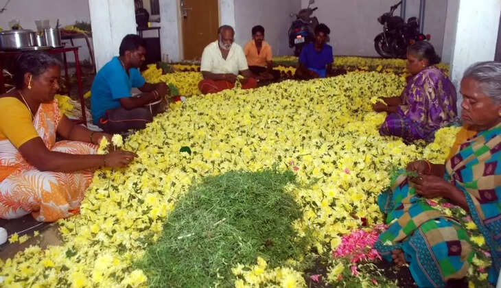 flowers