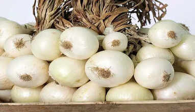 white onion