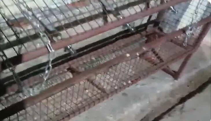 ச்
