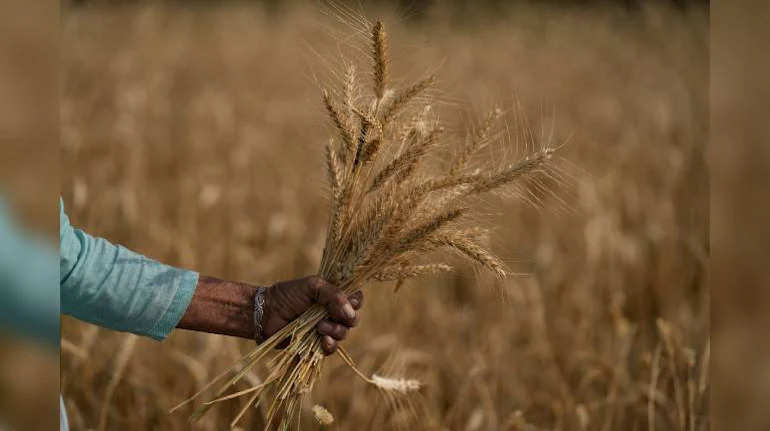 Centre approves sale of 30 lakh MT wheat in open market