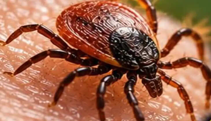 ச்