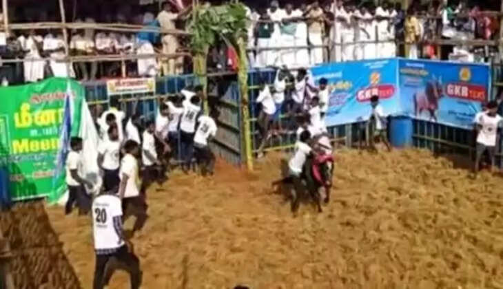 jallikkattu