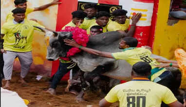 ஜல்லிக்கட்டு