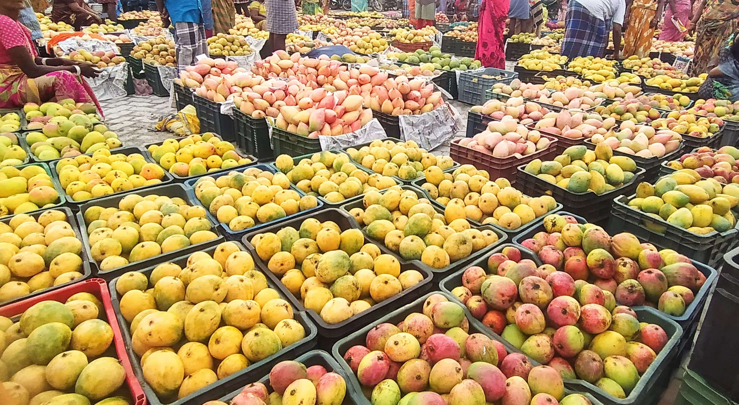 ஆந்திராவும், கர்நாடகாவும் செய்றது வேற.. ஆனால் தமிழக அரசு செய்வது பச்சை துரோகம் - அன்புமணி காட்டம்..