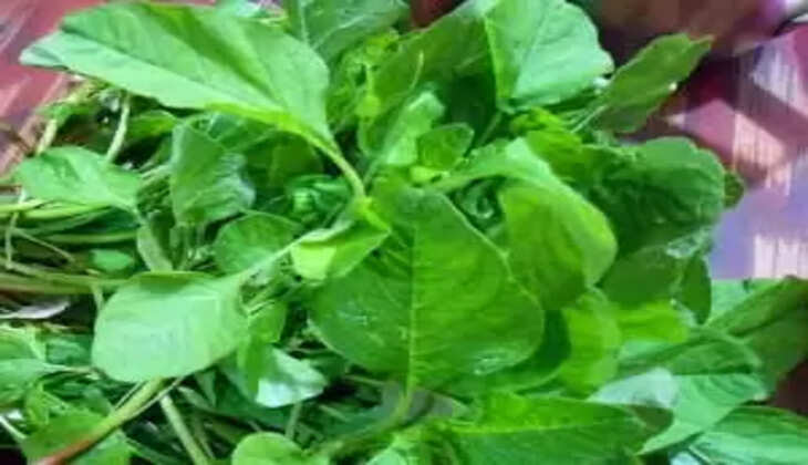 mulai keerai