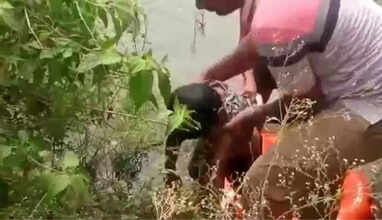 வாய்க்காலில் சடலமாக மிதந்த 6 வயது சிறுவன் - காவல்துறை  தீவிர விசாரணை..