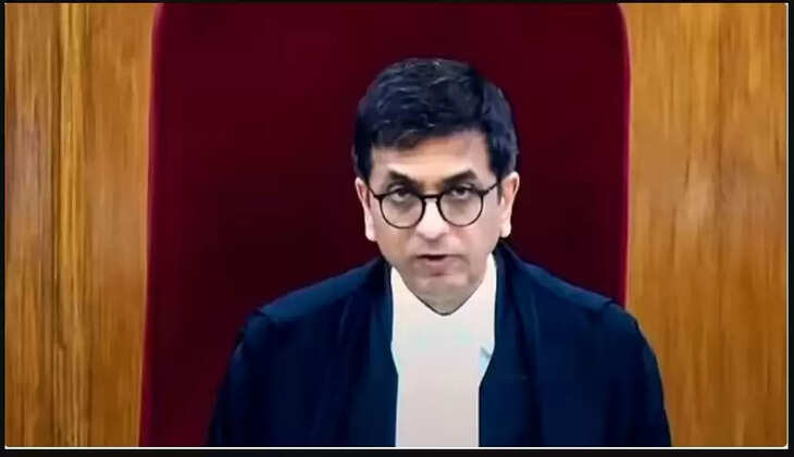 CJI Chandrachud