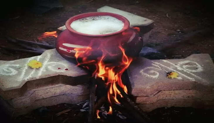 பொங்கல் 2022