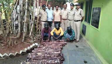 திருப்பதியில் செம்மர கடத்தல்- தமிழகத்தை சேர்ந்த 3 பேர் கைது