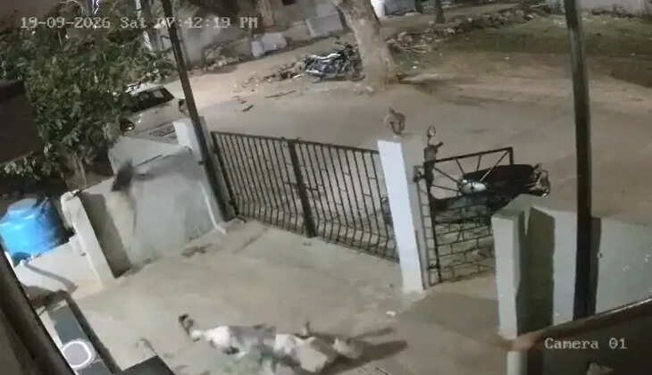 ச்