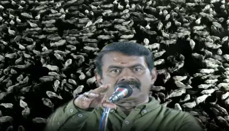 சீமான்