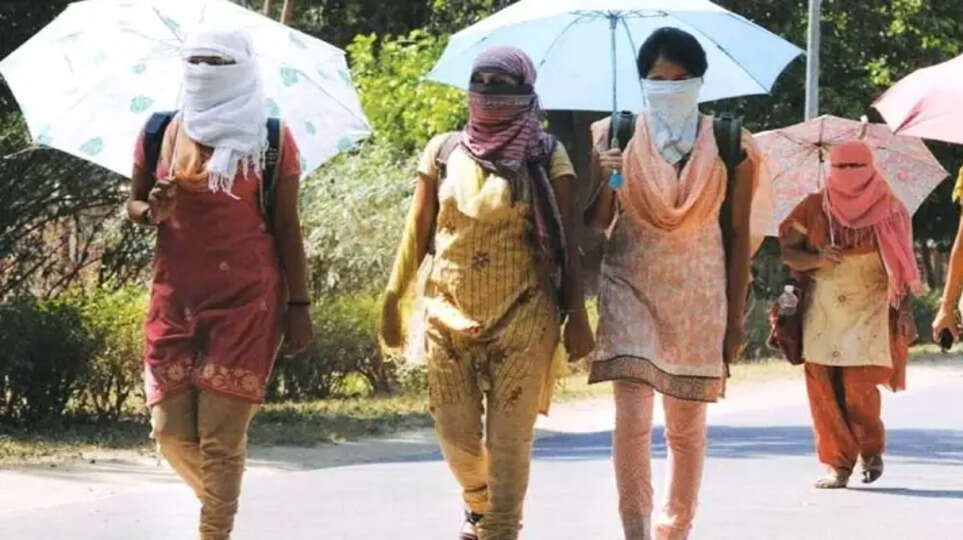 'வெப்ப அலை' - மாநில பேரிடராக அறிவிப்பு 