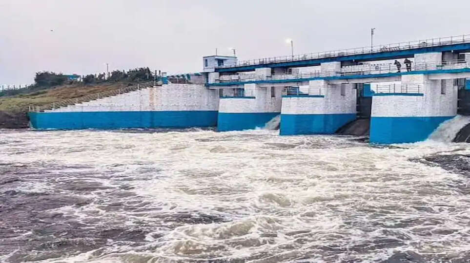  செம்பரம்பாக்கம் ஏரியில் 100கன அடி நீர் திறப்பு  