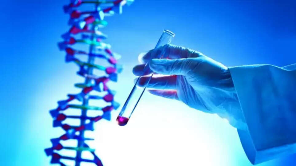 டிஎன்ஏ டெஸ்ட்