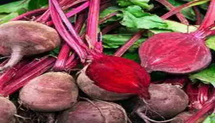 beetroot