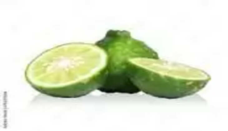 narthankai