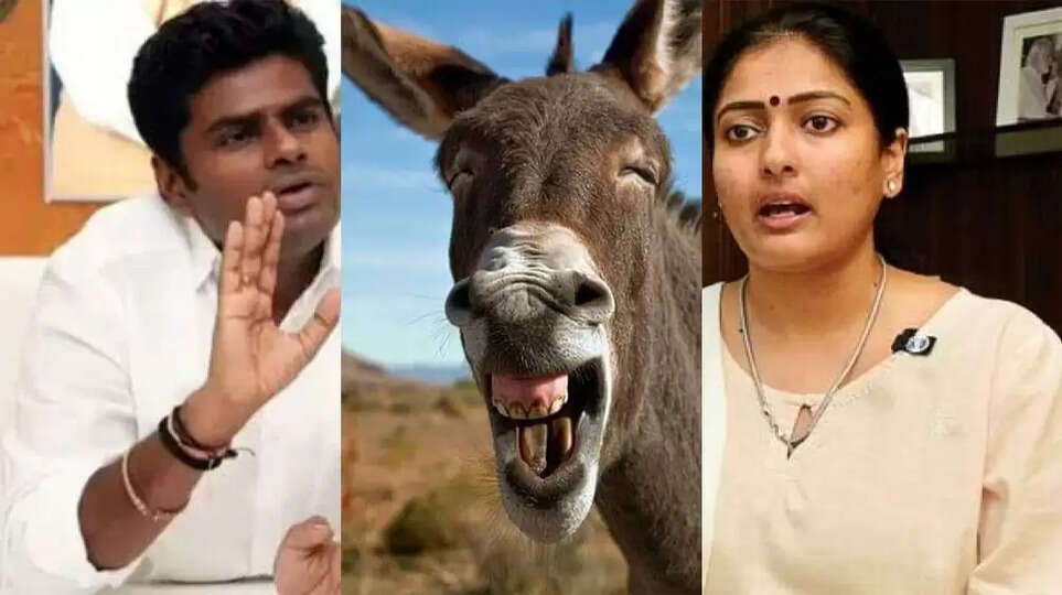 க்ய்