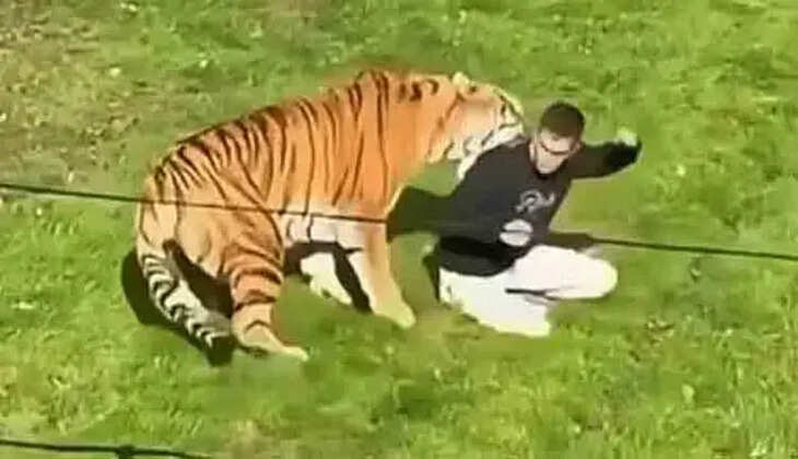 Q