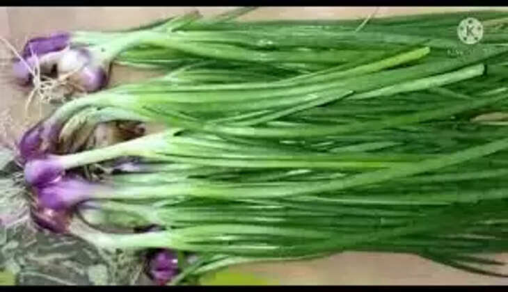 vengaya thaal