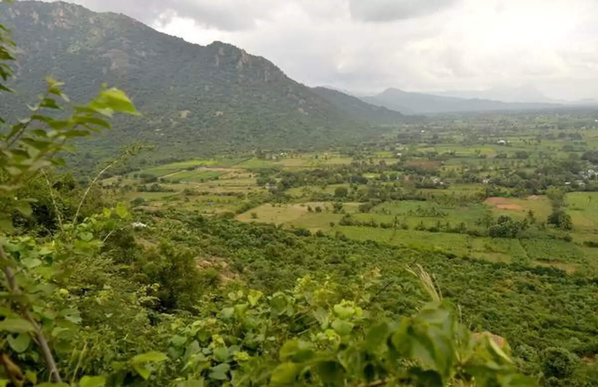 அரசுப் பள்ளிகளில் சாதிப் பெயர்களை பயன்படுத்தக்கூடாது - சென்னை உயர்நீதிமன்றம்