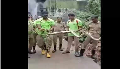 குற்றாலம் ஐந்தருவியில் 15 அடி நீள மலைப்பாம்பு மீட்பு