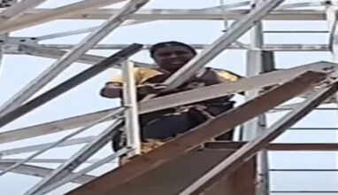 120 அடி உயர செல்போன் டவரில் ஏறி பெண் போராட்டம்