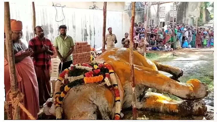 குன்றக்குடி சண்முகநாதர் கோயில் யானை உயிரிழப்பு!