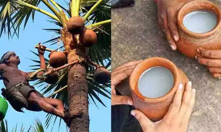 ‘கள்’ கொடிய விஷம்.. அரசியலுக்காக பொய் பிரச்சாரம் வேண்டாம் - கிருஷ்ணசாமி..!