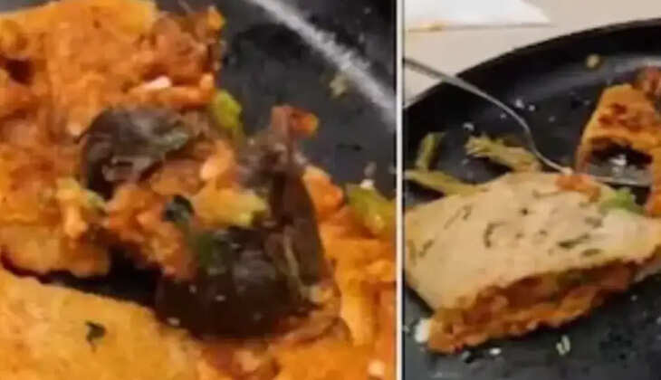 மசாலா தோசைக்குள் இருந்த எலி 