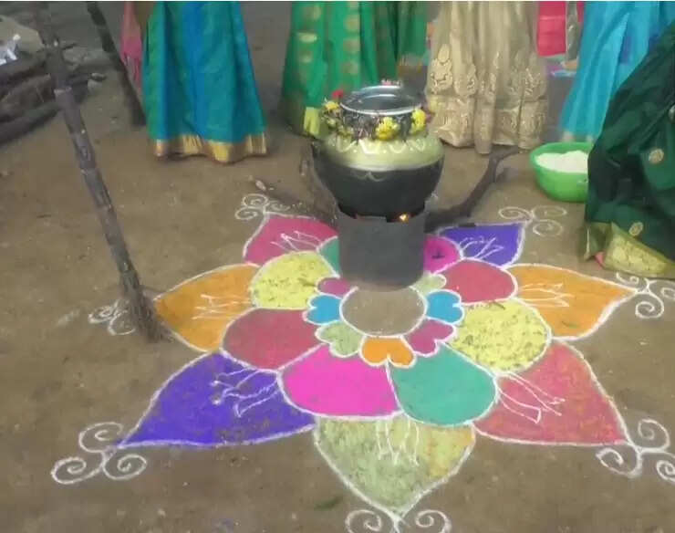 பொங்கல்