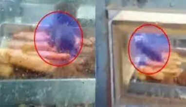 எலி சாப்பிட்ட தின்பண்டம் விற்பனை