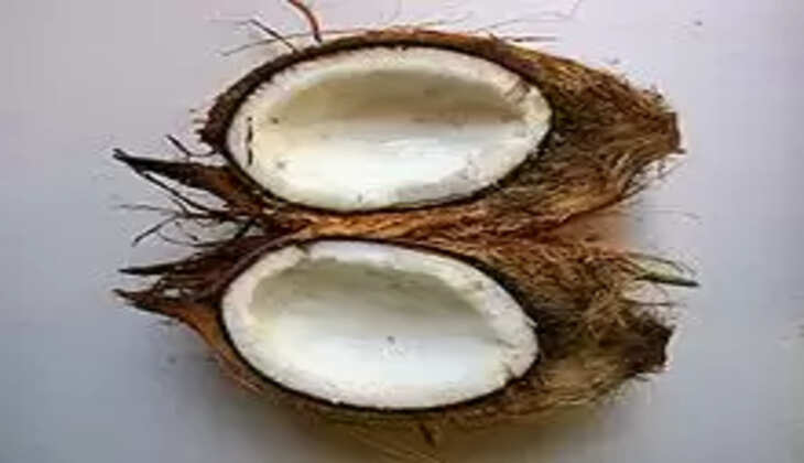 coconut oil