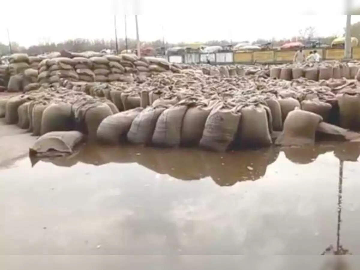 திமுக அரசின் நிர்வாக திறமையின்மையால் அரசுகும் இழப்பு.. விவசாயிகளுக்கும் இழப்பு.. - இபிஎஸ் சாடல்