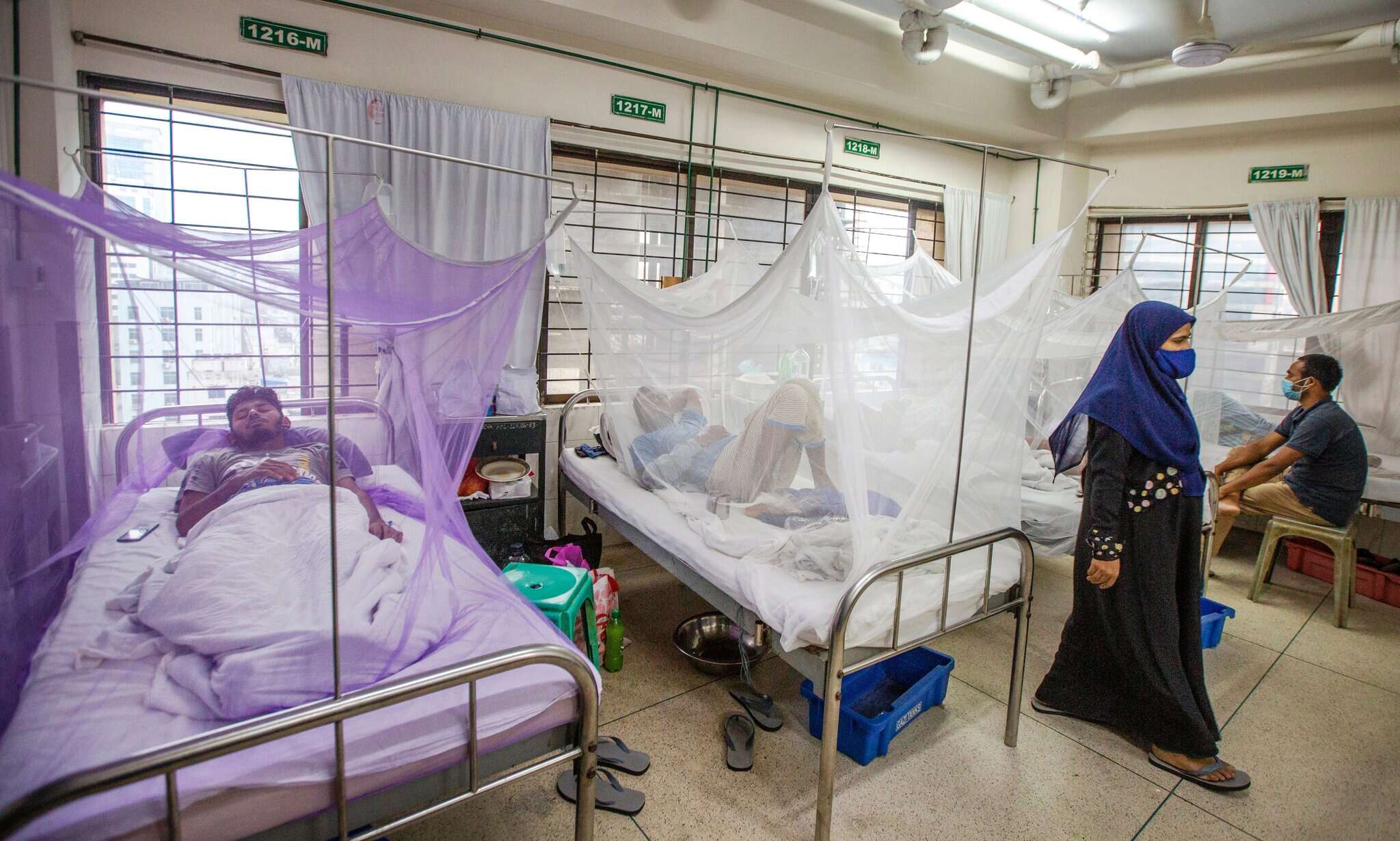 தமிழகத்தில் டெங்கு பாதிப்பு அதிகரிப்பு - சுகாதாரத்துறை எச்சரிக்கை