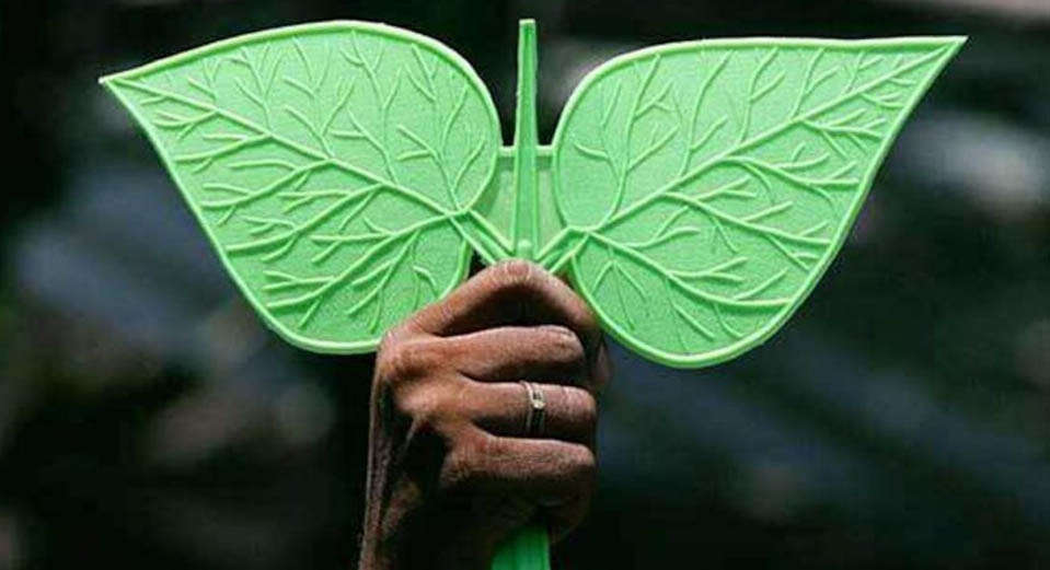 இரட்டை இலைக்காக டெல்லி பறக்கும் இரண்டு டீம்