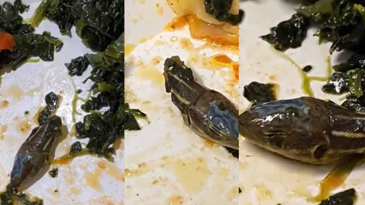 கீரை பொரியலில் பாம்பு தலை - அதிர்ச்சி வீடியோ